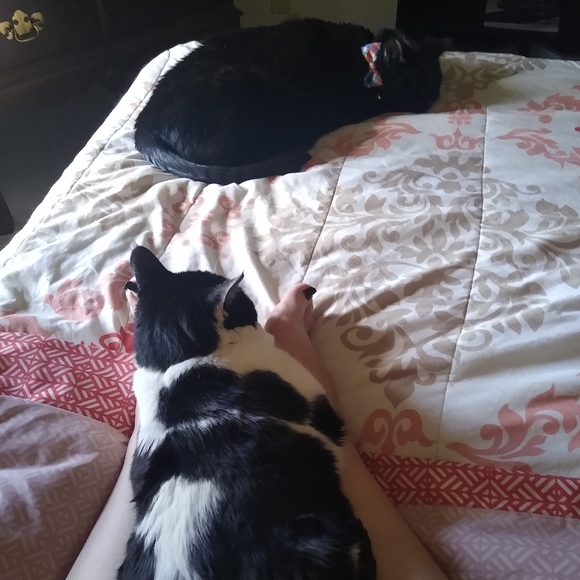 Hi guys & gals I'm Shannon! - Picture 2 of 4